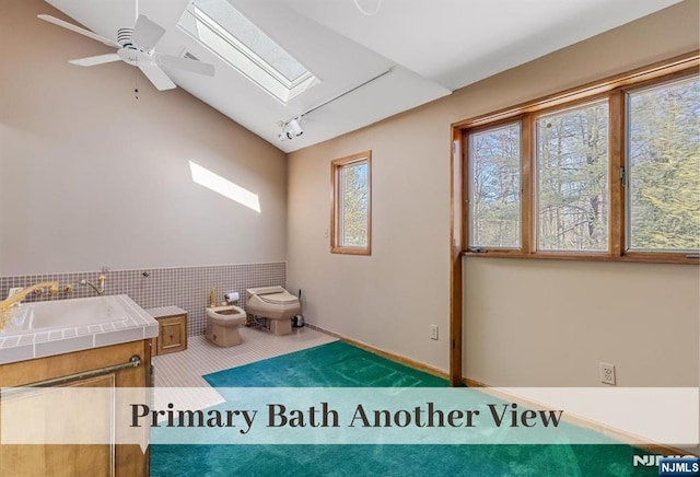 interior space with lofted ceiling with skylight, carpet flooring, wainscoting, rail lighting, and a sink