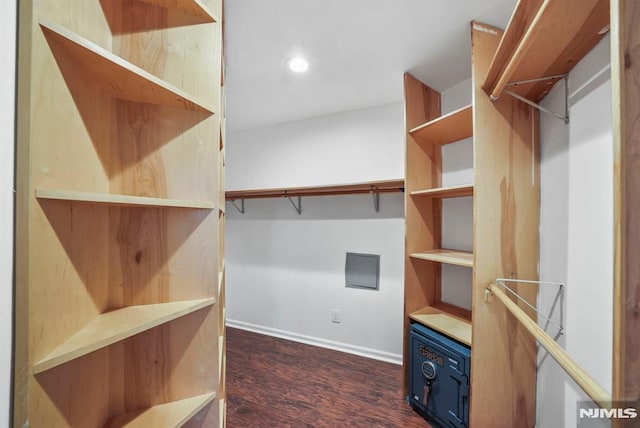 spacious closet with dark wood-style floors