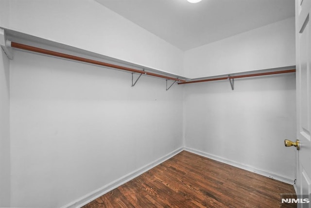 walk in closet with dark wood-style flooring