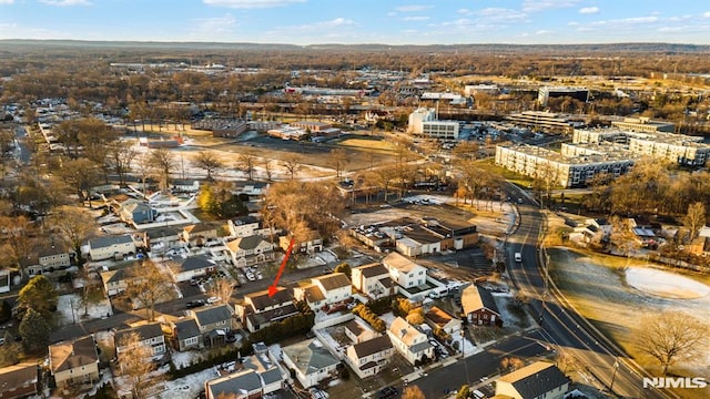 bird's eye view