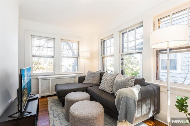 interior space featuring radiator heating unit and wood finished floors