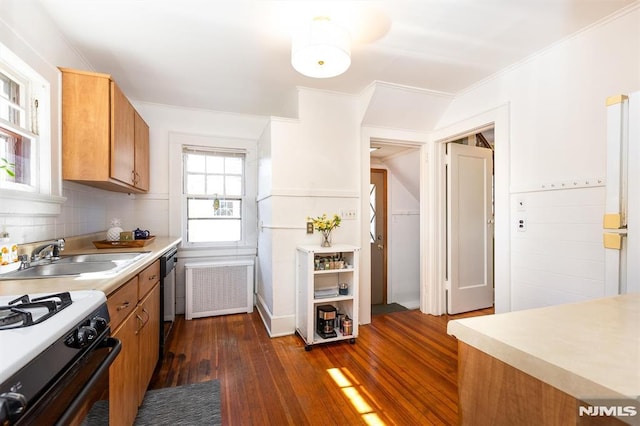 kitchen featuring radiator, dark wood-style floors, a sink, decorative backsplash, and light countertops