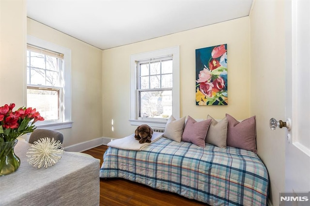 bedroom featuring multiple windows, wood finished floors, and baseboards