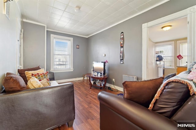 living area featuring baseboards, radiator, wood finished floors, and crown molding