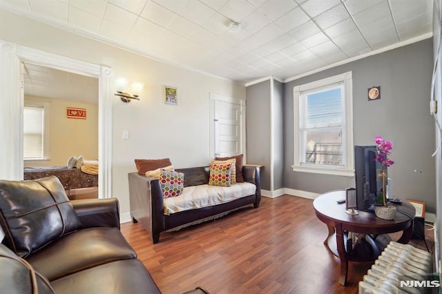 living room featuring wood finished floors, baseboards, and ornamental molding