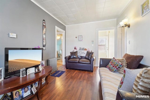 living area featuring ornamental molding, radiator, and wood finished floors