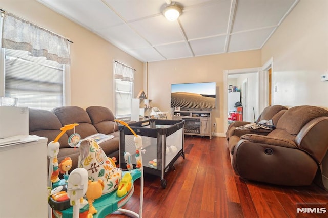 living room featuring wood-type flooring