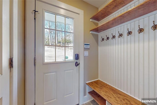 mudroom featuring plenty of natural light