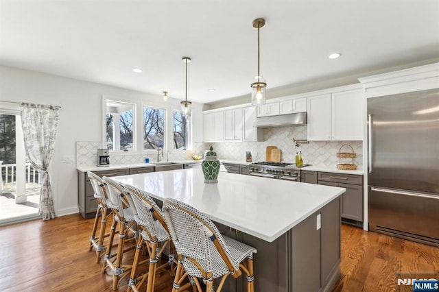 kitchen featuring under cabinet range hood, premium appliances, light countertops, and a sink