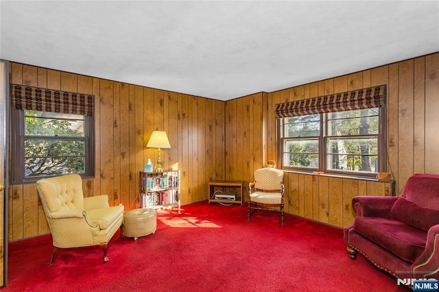 living area featuring wooden walls and carpet