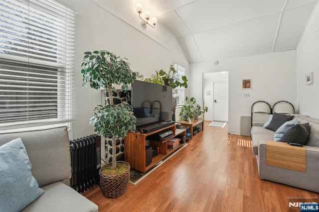 living room featuring lofted ceiling, radiator, wood finished floors, and a wealth of natural light