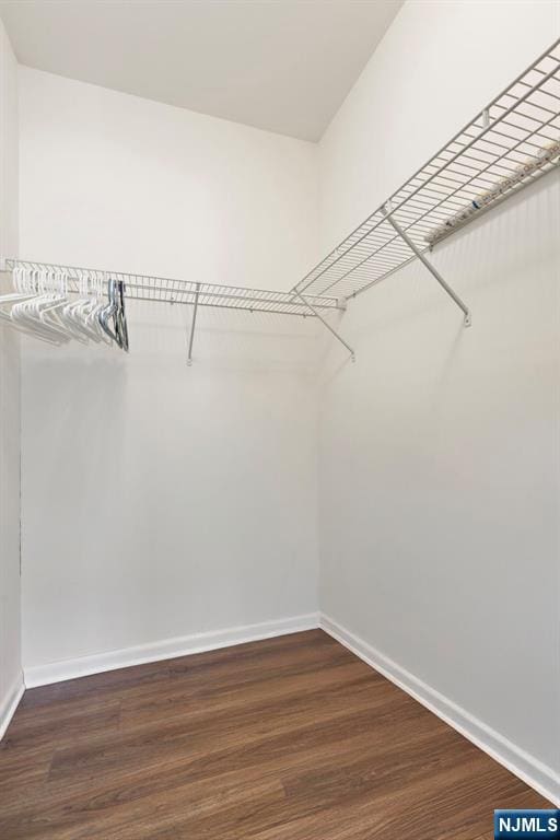 walk in closet featuring wood finished floors