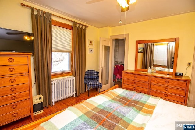 bedroom featuring a spacious closet, radiator heating unit, wood finished floors, a closet, and a ceiling fan