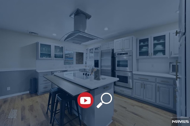 kitchen featuring island exhaust hood, stainless steel appliances, light countertops, and light wood-style floors