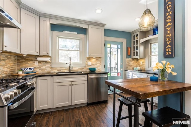 kitchen featuring dark countertops, dark wood-type flooring, under cabinet range hood, appliances with stainless steel finishes, and a sink