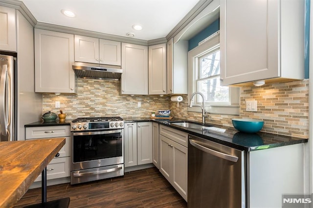 kitchen featuring tasteful backsplash, a sink, under cabinet range hood, appliances with stainless steel finishes, and dark wood-style flooring