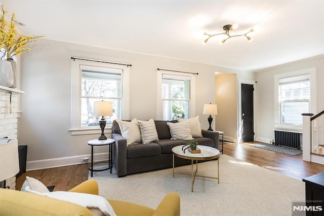 living area with plenty of natural light, radiator heating unit, and wood finished floors