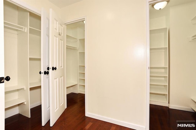 walk in closet featuring dark wood-style floors