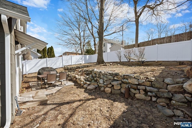 view of yard featuring a fenced backyard and a patio area