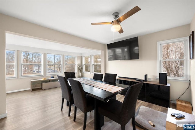 dining space featuring a ceiling fan and wood finished floors