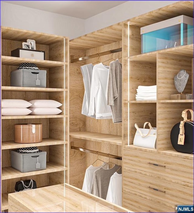 view of walk in closet