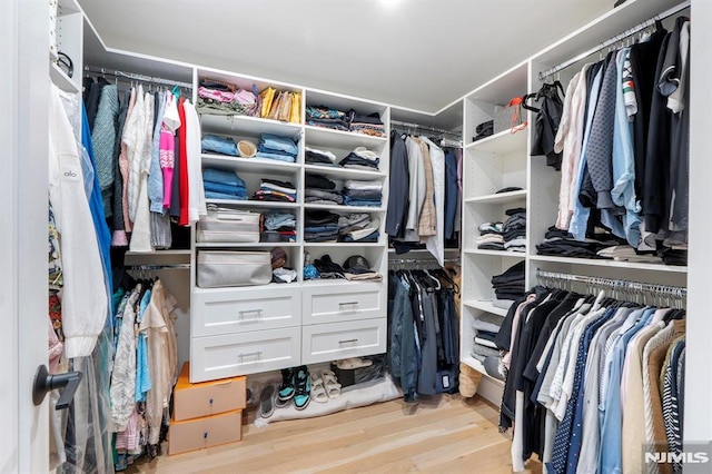 spacious closet featuring wood finished floors