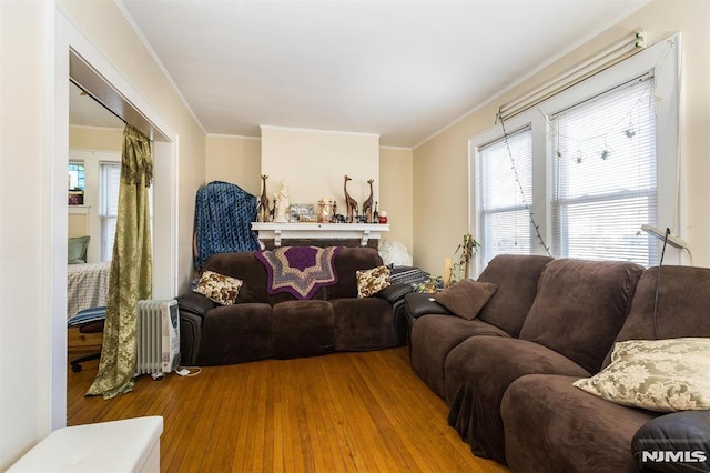 living room featuring radiator, crown molding, and wood finished floors