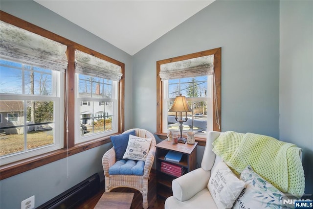 living area with vaulted ceiling