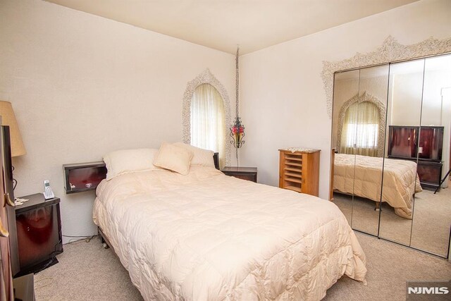 bedroom with multiple windows and carpet