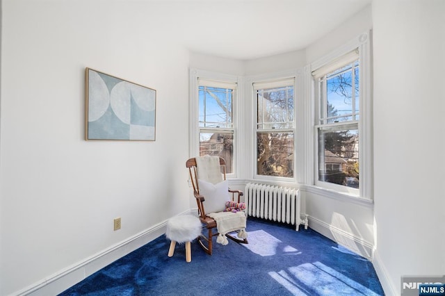 sitting room with baseboards, radiator, and carpet flooring