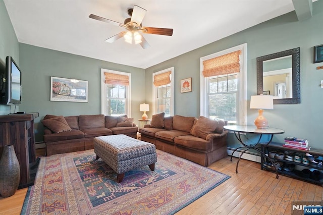 living room featuring light wood-style flooring, plenty of natural light, a ceiling fan, and a baseboard radiator