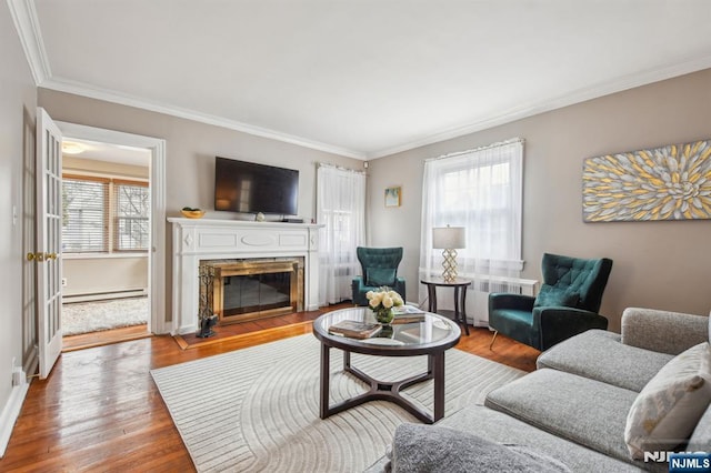 living area featuring a healthy amount of sunlight, radiator, a baseboard heating unit, and wood finished floors