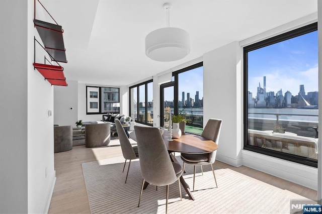 dining area featuring expansive windows, baseboards, light wood-style floors, and a city view