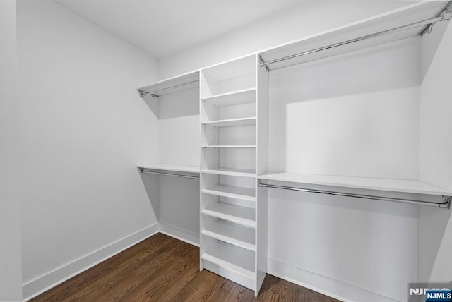 spacious closet with dark wood-type flooring