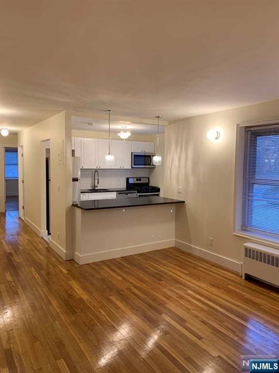 kitchen with dark wood-type flooring, radiator heating unit, appliances with stainless steel finishes, and a sink