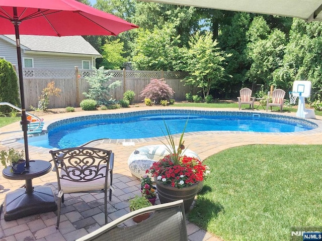 view of pool with a fenced in pool, a patio, and a fenced backyard