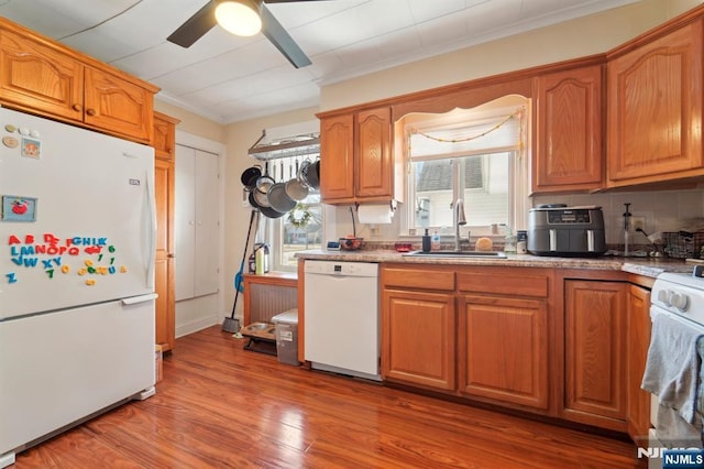 kitchen with tasteful backsplash, wood finished floors, white appliances, a ceiling fan, and a sink