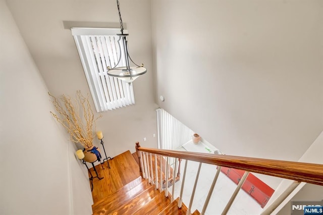 staircase with wood finished floors