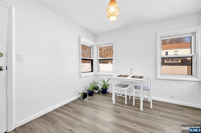 dining area featuring baseboards and wood finished floors