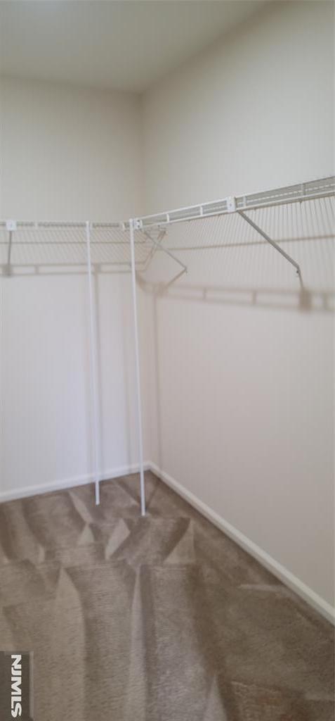 spacious closet with carpet flooring