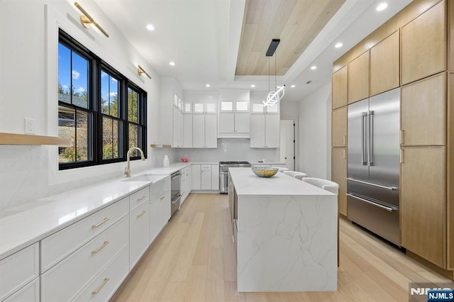 kitchen featuring light wood-style flooring, a tray ceiling, tasteful backsplash, a center island, and stainless steel appliances