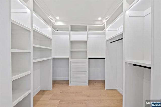 walk in closet with light wood-style flooring