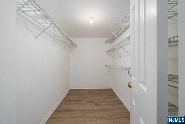 walk in closet featuring wood finished floors