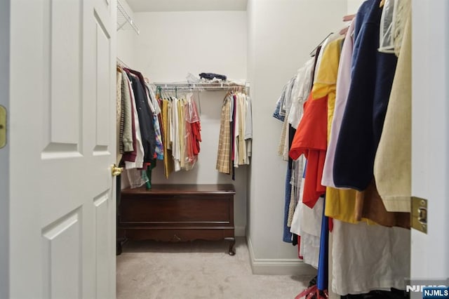 walk in closet featuring carpet