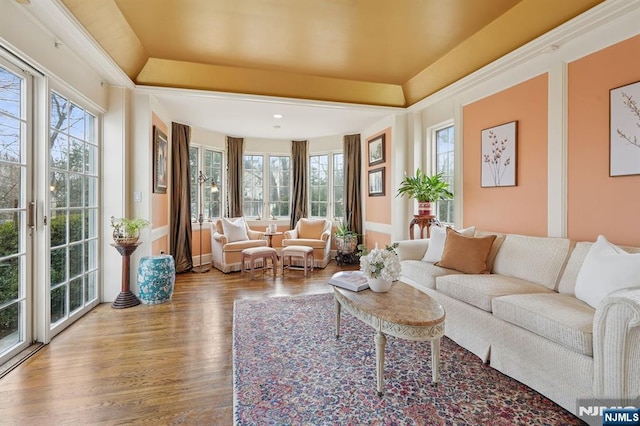 living area with wood finished floors, a healthy amount of sunlight, and a raised ceiling