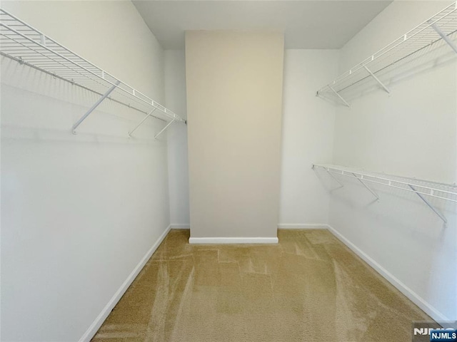 walk in closet featuring carpet floors