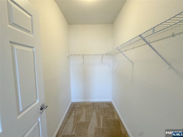 walk in closet with light colored carpet