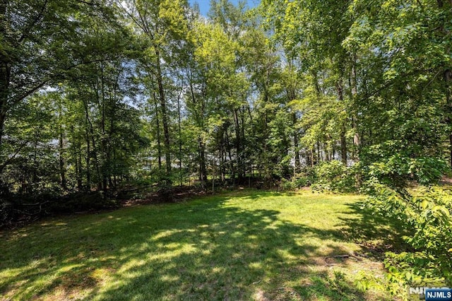 view of yard featuring a wooded view