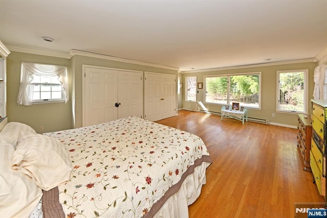 bedroom featuring multiple windows, light wood-type flooring, multiple closets, and ornamental molding