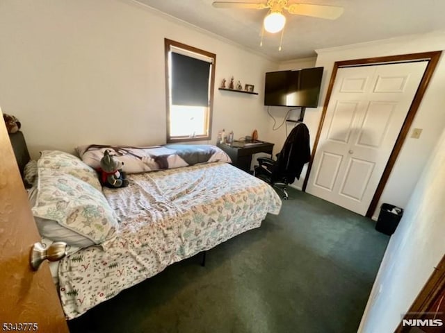 bedroom featuring a closet, dark carpet, ceiling fan, and ornamental molding